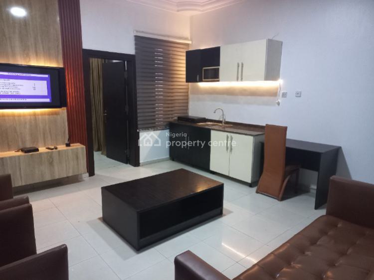Superior Apartment (1 Bedroom Apartment), 19 Ladipo Omotesho Cole Street, Lekki Phase 1, Lekki, Lagos, Mini Flat (room and Parlour) Short Let