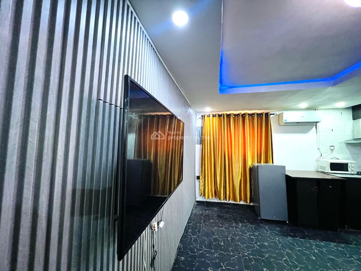 Dinero Emerald - One Bedroom Apartment, 119 Ogunlana Drive, Ogunlana, Surulere, Lagos, Flat / Apartment Short Let