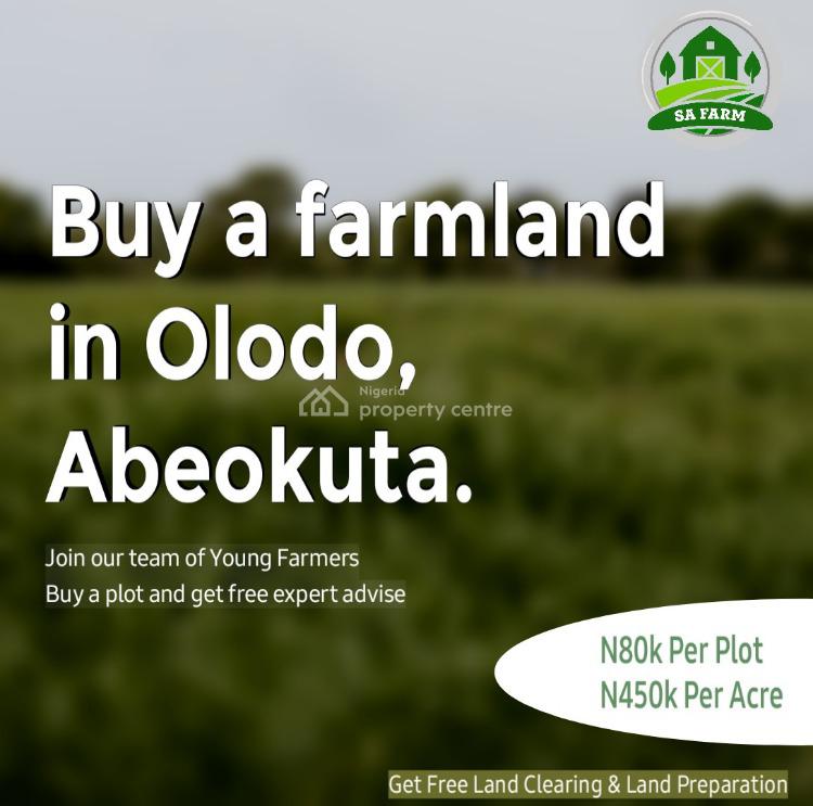 For Sale Farm Land, Sa Farm, Abeokuta ibadan Railway Track, Odeda