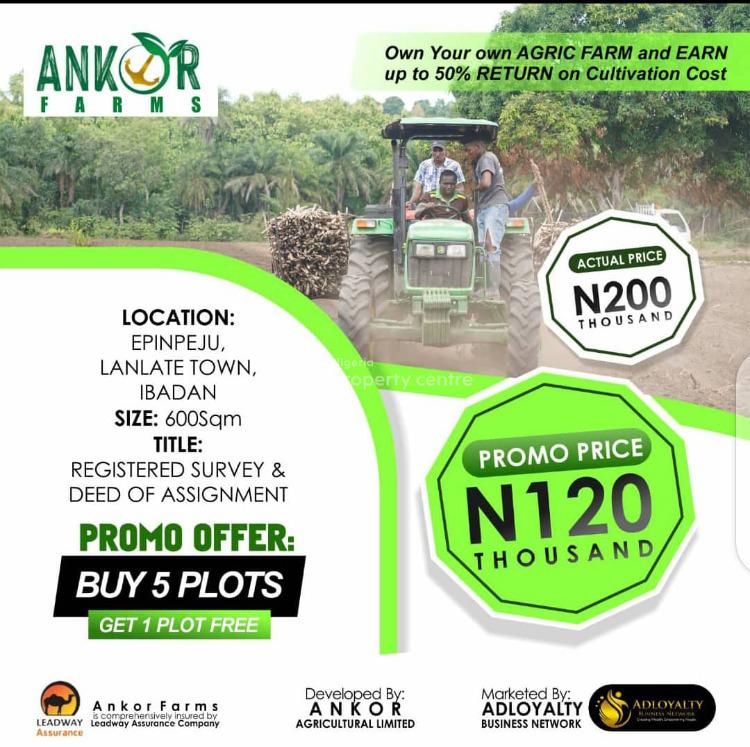For Sale Farmland, Ibadan, Oyo Nigeria Property Centre (Ref 777496)