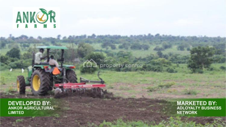 For Sale Farm Land For Agricultural Use In A Good