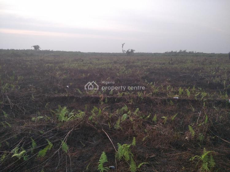 For Sale Plots Of Land Inside An Estate, Coastal Road, Museyo, Ibeju