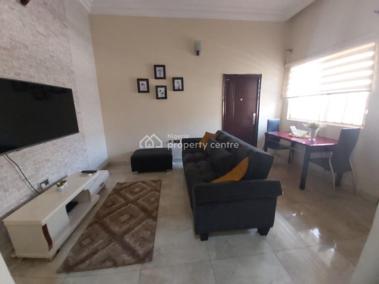 Fully Furnished and Serviced Luxury 1 Bed Apartment, Oladipo Diya Way, Gudu, Abuja, Mini Flat (room and Parlour) Short Let