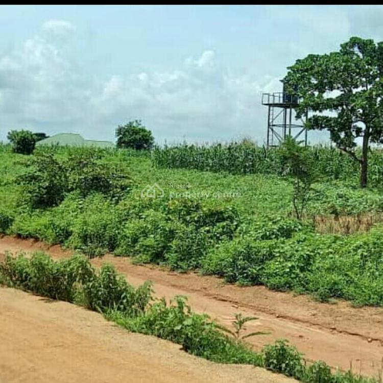 For Sale 2 Hectares Of Land With R Of O, Idu Station, Elrufai Duping