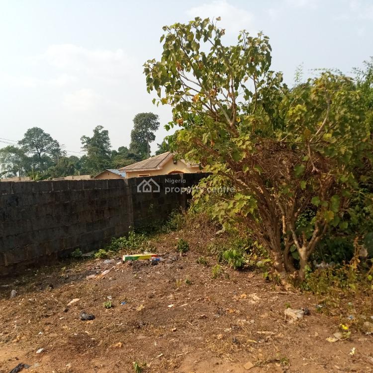For Sale 2 Plots Of Dry And Bare Land In A Developed Location, Isiwu
