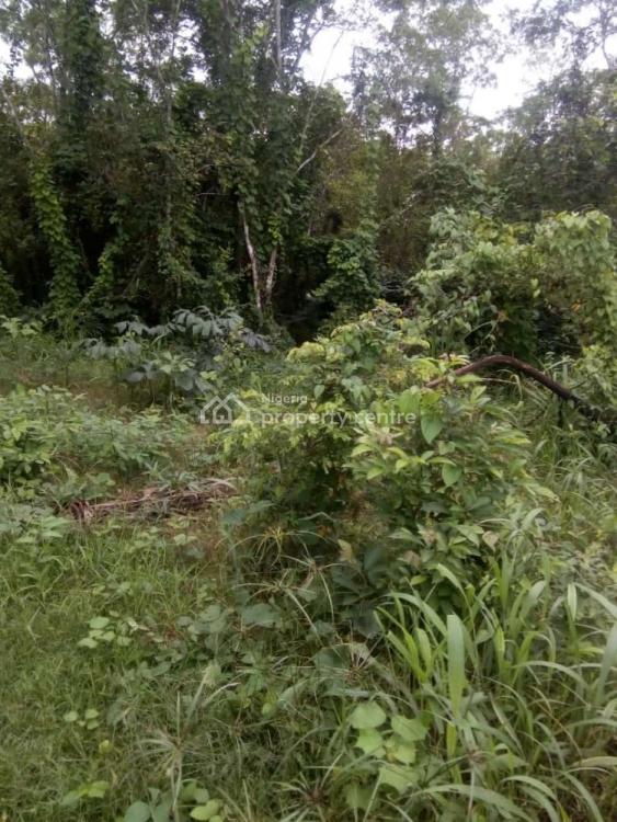 For Sale 1 Acre Farm Land Estate With Agricultural C Of O, Balogun