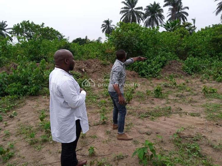 For Sale Land, Ruby Court Estate, Off Enekaigwuruta Airport Road, By