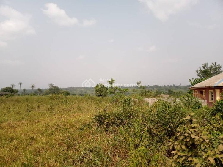 250 Acres of Land, Idiroko, Owode, Obafemi Owode, Ogun, Commercial Land for Sale