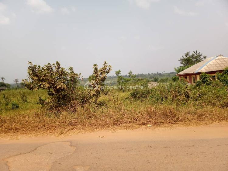 For Sale 250 Acres Of Land, Idiroko, Owode, Obafemi Owode, Ogun