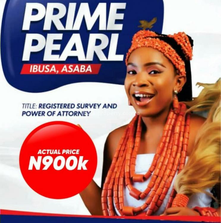 For Sale Available Plots Of Land, Prime Pearl Estate In Ibusa, Asaba