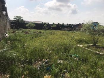 Dry Fence and Gated Plot of Land Partially Facing The Express, Badore, Ajah, Lagos, Commercial Land for Sale
