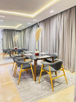 Luxury 3 Bedroom Duplex with Start of the Art Furnishing