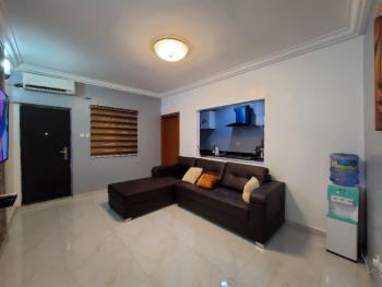 Fully Furnished and Tastefully Finished One Bedroom Apartment, Sangotedo, Ajah, Lagos, Flat / Apartment Short Let