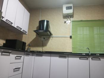 Luxury 3 Bedrooms Duplex, Thomas Estate, Ajah, Lagos, House Short Let