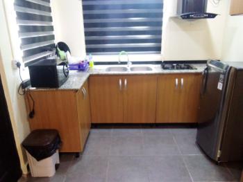 Cozy Studio Apartment, No 8, Balarabe Musa Crescent,, Victoria Island (vi), Lagos, Self Contain (single Rooms) Short Let
