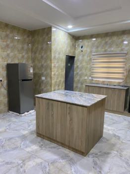 5 Bedroom Fully Furnished and Serviced Duplex, Asokoro District, Abuja, Detached Duplex Short Let