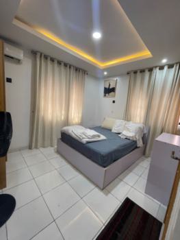 Beautifully Furnished 2 Bedroom Apartment, Off Bode Thomas Street, Surulere, Lagos, Flat / Apartment Short Let