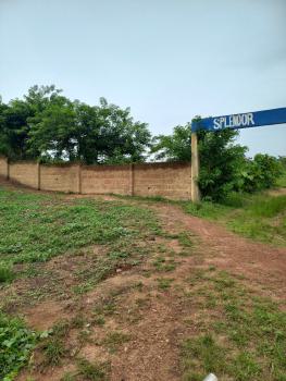 Plot of Land, Off Ife Ibadan Expressway, Bayeku - Alaaka Community, Egbeda, Oyo, Residential Land for Sale