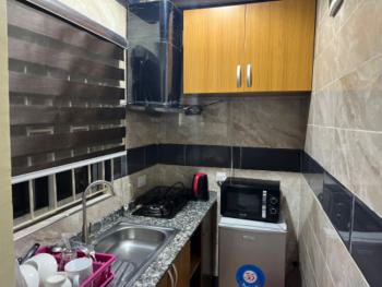 Super Studio Apartment, Balarabe Musa Crescent, Victoria Island (vi), Lagos, Self Contain (single Rooms) Short Let