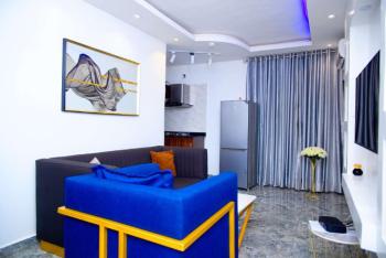 a Lovely 1 Bedroom Serviced Apartment, Off Robert Street, Gra Phase 2, Magodo, Lagos, Mini Flat (room and Parlour) Short Let