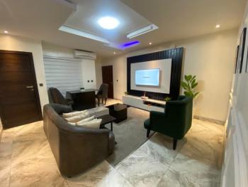 Lush 2 Bedroom Flat, Freedom Way, Lekki Phase 1, Lekki, Lagos, Flat / Apartment Short Let