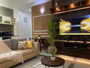Lush Fully Furnished and Serviced, Oniru, Victoria Island (vi), Lagos, Mini Flat (room and Parlour) Short Let