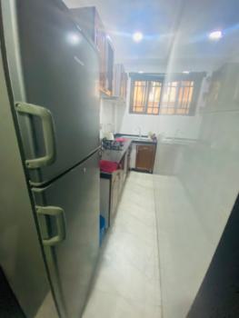 a Very Clean 1 Bedroom Serviced Apartment Available, Oniru Estate, Oniru, Victoria Island (vi), Lagos, Mini Flat (room and Parlour) Short Let