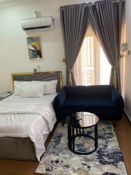 Comfortable 1 Bed Apartment, 809, Dahiru Musdafa Boulevard, Wuye, Abuja, Mini Flat (room and Parlour) Short Let