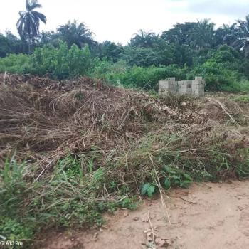 Legend Court, Off Futo Junction, Owerri Municipal, Imo, Mixed-use Land for Sale