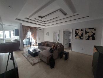 Luxury 2 Bedrooms Apartment with Excellent Facilities, Chevron Drive, Lekki, Lagos, Flat / Apartment Short Let