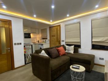 Elegant One Bedroom Apartment