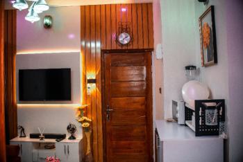 Comfortable 1 Bedroom Apartment, Tiwatayo Street, Egbeda, Alimosho, Lagos, Mini Flat (room and Parlour) Short Let