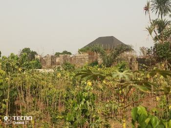One Solid Plot of Land, Avu Off Port Harcourt Road Owerri, Owerri Municipal, Imo, Residential Land for Sale