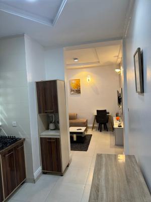One Bedroom Apartment with Excellent Facilities., 1, Oremeta Street, Oregun, Ikeja, Lagos, Mini Flat (room and Parlour) Short Let