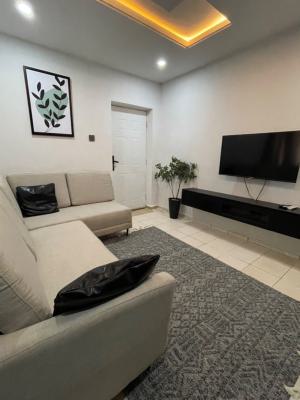Private Centrally Located One Bedroom Apartment, 21 Lusaka Street, Zone 6, Wuse, Abuja, Mini Flat (room and Parlour) Short Let