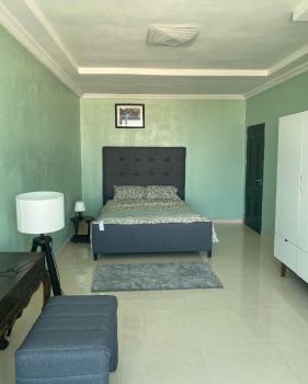 Beautiful 2 Bedroom Apartment, Horizon Experience Estate, Kusenla Road, Ikate, Lekki, Lagos, Flat / Apartment Short Let