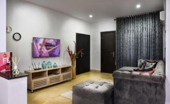 Standard 1 Bedroom Mini Flat, Shonibare Estate, Maryland, Lagos, Mini Flat (room and Parlour) Short Let