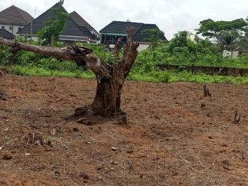 Land in The Most Peaceful Community, Iriri Road, Oredo, Edo, Mixed-use Land for Sale