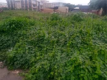 874sqm Plot for Residential, Durumi, Abuja, Residential Land for Sale