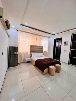 Fully Furnished 1 Bedroom Shared Apartment, Osapa, Lekki, Lagos, Flat / Apartment Short Let