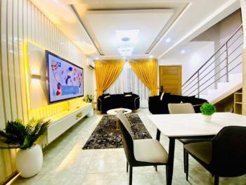 Beautiful 2 Bedroom Duplex, Ikate, Lekki, Lagos, Semi-detached Duplex Short Let