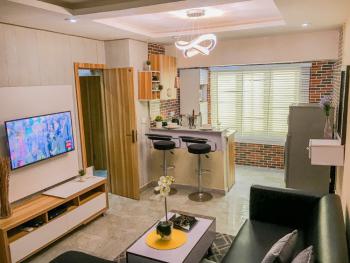 Cozy 1 Bedroom Apartment, Ikate Elegushi, Lekki, Lagos, Mini Flat (room and Parlour) Short Let