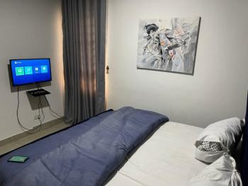 Exclusive 1 Bedroom Mini Flat, Dideolu Estate, Victoria Island (vi), Lagos, Mini Flat (room and Parlour) Short Let