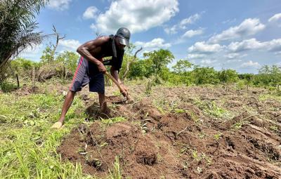 Plots and Acres of Farmlands, Off Funaab Alabata Road, Alabata, Abeokuta North, Ogun, Residential Land for Sale