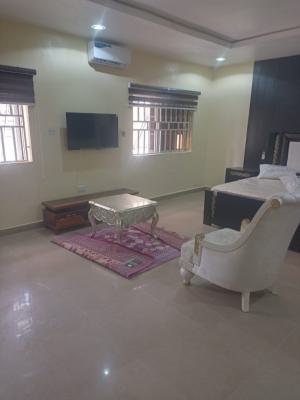 Massive Studio Apartment (self Contain), Festrut Estate, Katampe (main), Katampe, Abuja, Flat / Apartment for Rent