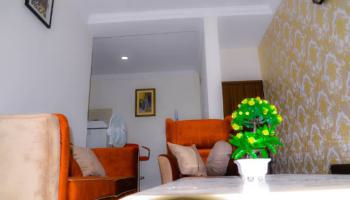 a Lovely Fully Equipped 1 Bedroom Serviced Apartment, Dahiru Musdafa, Wuye, Abuja, Mini Flat (room and Parlour) Short Let