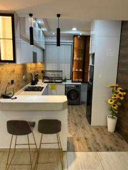Luxury 2 Bedrooms with Excellent Interiors, Oniru, Victoria Island (vi), Lagos, Flat / Apartment Short Let