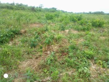 Land with Registered Survey and Deed of Assignment in a Good Location, Igbodu Community, Haven Ville Estate Phase 2, Epe, Lagos, Land for Sale