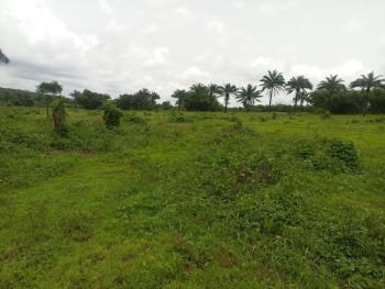 Fertile 640 Plots, 160 Acres of Land with Earth Road, Okhuaihie, Orhionmwon, Edo, Mixed-use Land for Sale