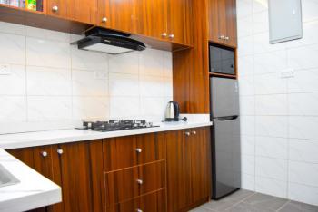 Luxurious & Affordable Serviced 2 Bedroom Flat, Dedems, Tinuola Close, Animashaun Bus-stop, Akowonjo, Egbeda, Alimosho, Lagos, Flat / Apartment Short Let